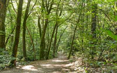 Image du projet ATE la biodiversité à notre porte à Ploeren