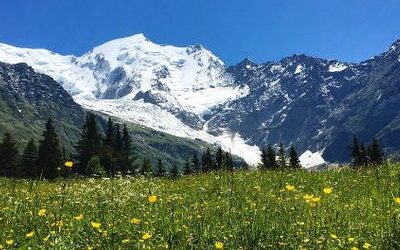 Image du projet Les CM2 au pays du Mont Blanc