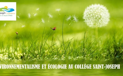 Image du projet Projet environnement et écologie au collège Saint-Joseph