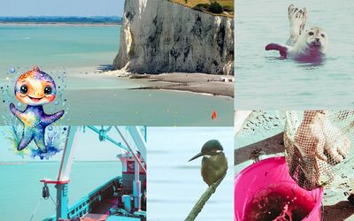 Image du projet Les CP et CE1 de Saint-Thibault en classe de mer ! 