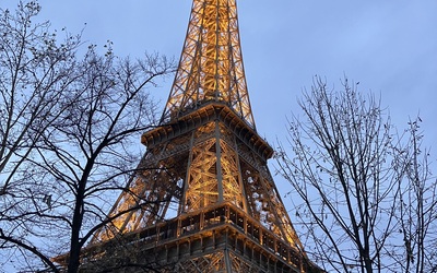 Image du projet Nos 3ème SEGPA à Paris, un rêve.