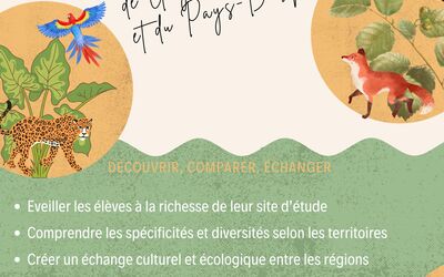 Image du projet Peuples et forêts du monde 