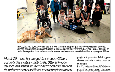 Image du projet Collège Olibo projet Chien d'Accompagnement à la Réussite Scolaire