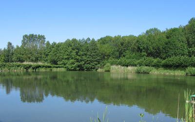 Image du projet classe d'eau en forêt d'Argonne, mai 2026