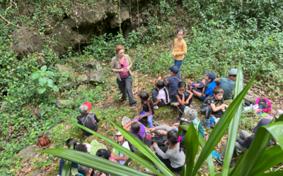 Image du projet Aire Éducative Terrestre dans la ravine du Petit Étang 