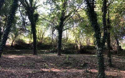 Image du projet Aire éducative du bois de la Prade