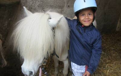 Image du projet Classe poney pour les petits chantelouvais