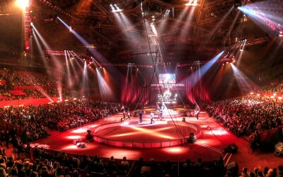 Image du projet Les élèves des métiers de l'accueil au Festival International du cirque de Grenoble 