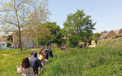 Image du projet Une aire terrestre éducative pour les CE1 CE2 de l'école Alexandre Bernard