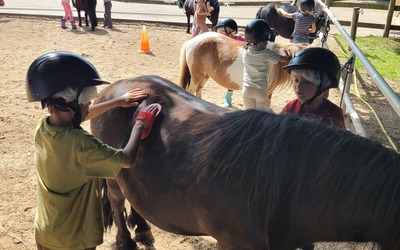 Image du projet Classe autogérée Poneys pour les moyens grands de Gustave Bienvêtu