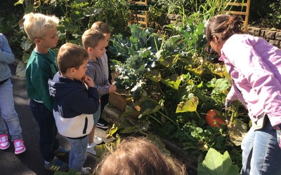 Image du projet Aire éducative de l'école René Quinchon de FRASNOY