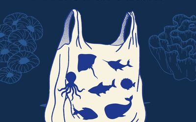 Image du projet Armada des éco-citoyens