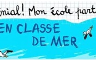 Image du projet Les moussaillons de l'école Gérard Thomazeau en classe de mer