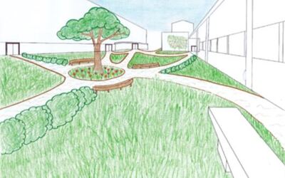 Image du projet Renaturation cour du lycée 