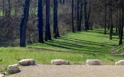 Image du projet INSTALLER UN OBSERVATOIRE FAUNE/FLORE SUR L'ATE DE LA LYONNE
