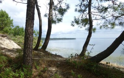 Image du projet Le tour du lac de Carcans en vélo avec les CE2.