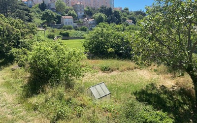 Image du projet ATE: Le sentier nature de Saint Ex