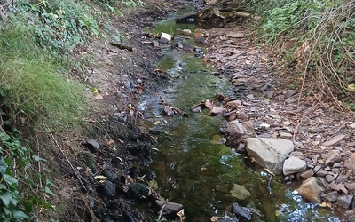 Image du projet Entre Ruisseau et Vieux Arbres à Aynac