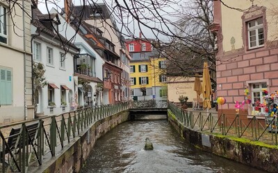 Image du projet Découvrir la culture allemande à Fribourg en Brisgau
