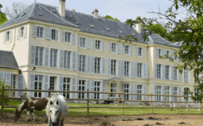 Image du projet Classe découverte "contes et cheval" CP et CE1 école de Pierres 