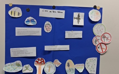 Image du projet L'ATE des Petits Météores 