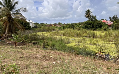 Image du projet Restaurer la mare Granmézon pour préserver le vivant