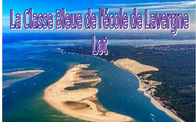 Image du projet Classe de mer à Arcachon