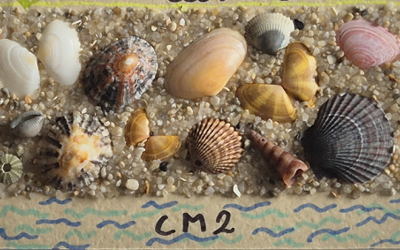 Image du projet Direction Sarzeau pour des CM2 de Saint Nazaire