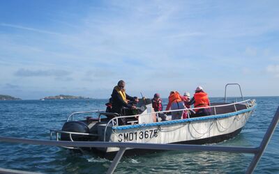 Image du projet Classe de mer des CE1 et CM2 de l'école Torigné à Perros-Guirec