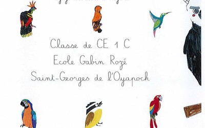 Image du projet Volons de nos propres ailes 