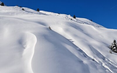 Image du projet 80 élèves du collège Croas-Ar-Pennoc de Guilers à la découverte du ski