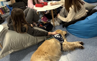 Image du projet Un chien d'assistance à la réussite scolaire au lycée !