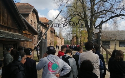 Image du projet LP Théas en séjour Mémoriel Montauban-Paris-Auschwitz