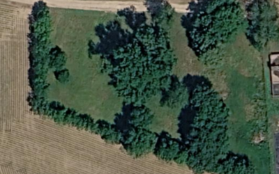Image du projet Aire Terrestre Educative de Saint-Léon sur l'Isle