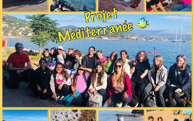 Image du projet Projet Méditerranée