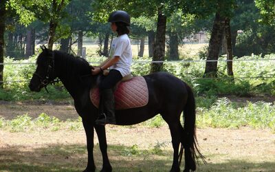 Image du projet Classe Poney Ecole Pierre Brossolette Le Perreux sur Marne CPC