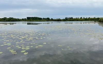 Image du projet ATE - Marais d'Arleux