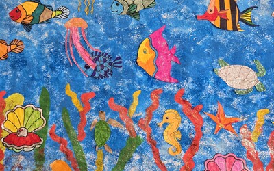 Image du projet Sortie voile au plan d'eau d'Embrun