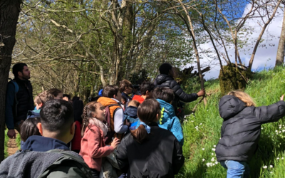 Image du projet Aire Terrestre Educative : le chemin des petits explorateurs