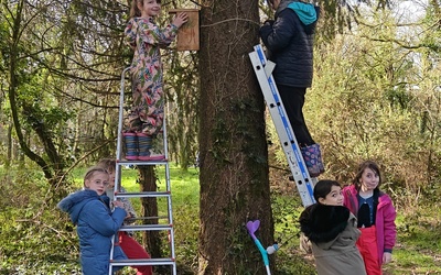 Image du projet ATE Ecolobris dans les bois