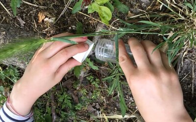 Image du projet ATE sur le campus de l'UFR sciences Exactes et Naturelles