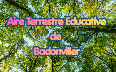 Image du projet Aire Terrestre Educative de l'école de Badonviller.