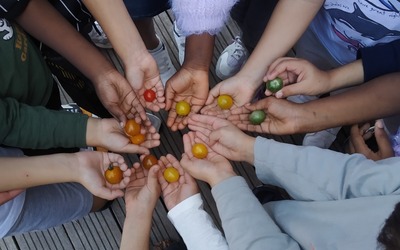 Image du projet LAB'BEMAX : Grandir autrement, apprendre durablement à Romain Rolland