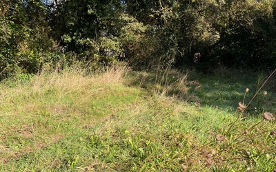 Image du projet ATE : Une aire éducative aux abords de l'école pour reconnecter les élèves à la nature et faire classe dehors.