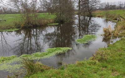 Image du projet Notre aire éducative fluviale du collège dupleix de landrecies