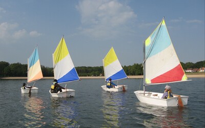 Image du projet Classe découverte au lac du Der des CM2 de Champigneulles