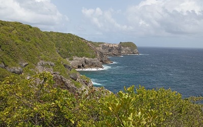 Image du projet Découvrons et protégeons notre Aire Marine