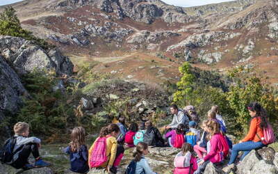 Image du projet Les Critouriens à Suc et Sentenac 