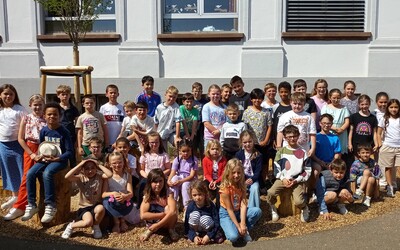 Image du projet Les CM2 et CE1 d'Illfurth en classe rousse
