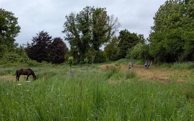 Image du projet Aire terrestre éducative de Mesnières-en-Bray